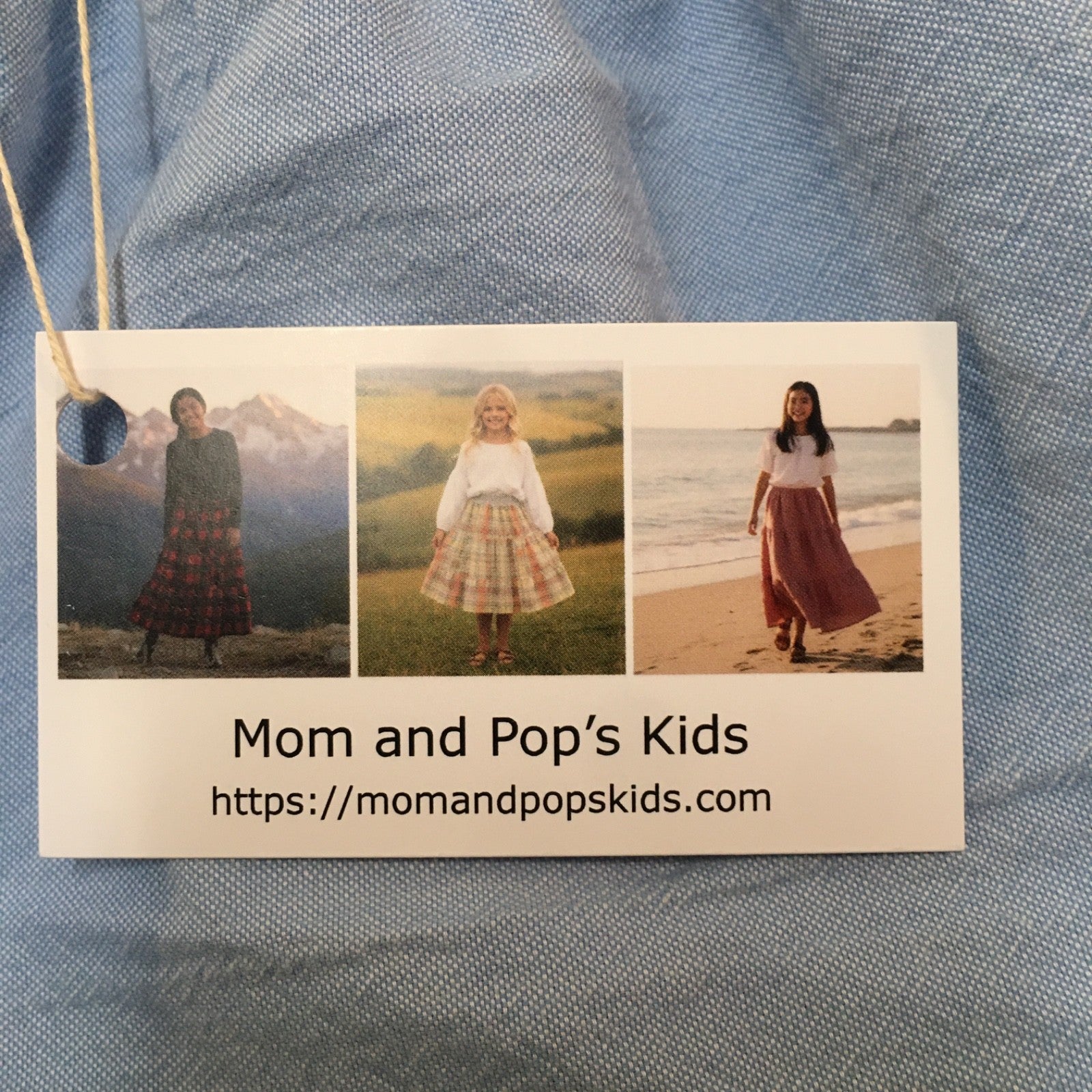 Midi Chambray Blue Skirt (2)